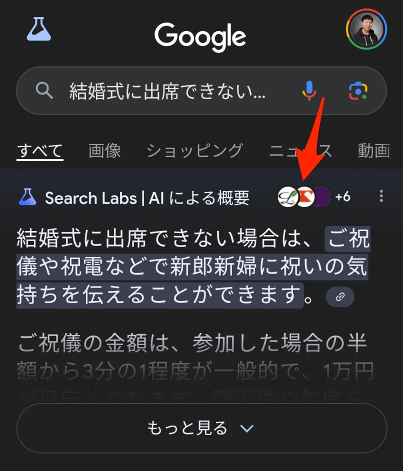 AI による概要