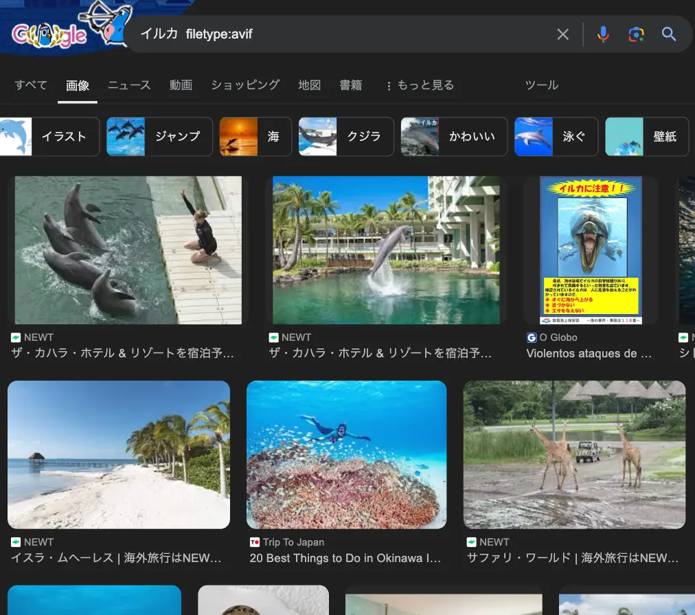 filetype:avif で画像検索